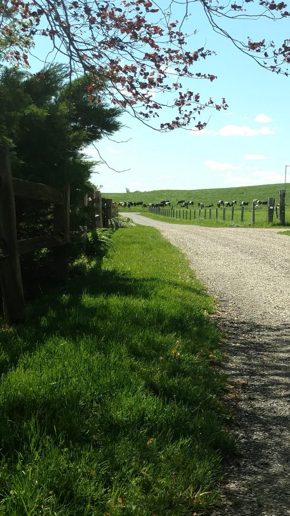 Farm Road